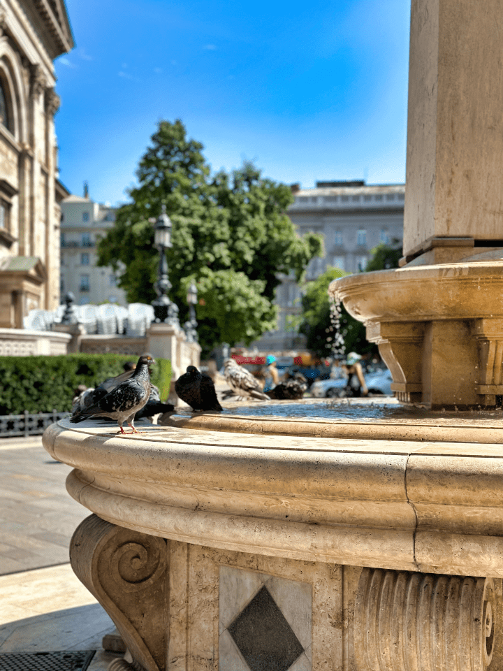 bazilika svatého štěpána budapešt