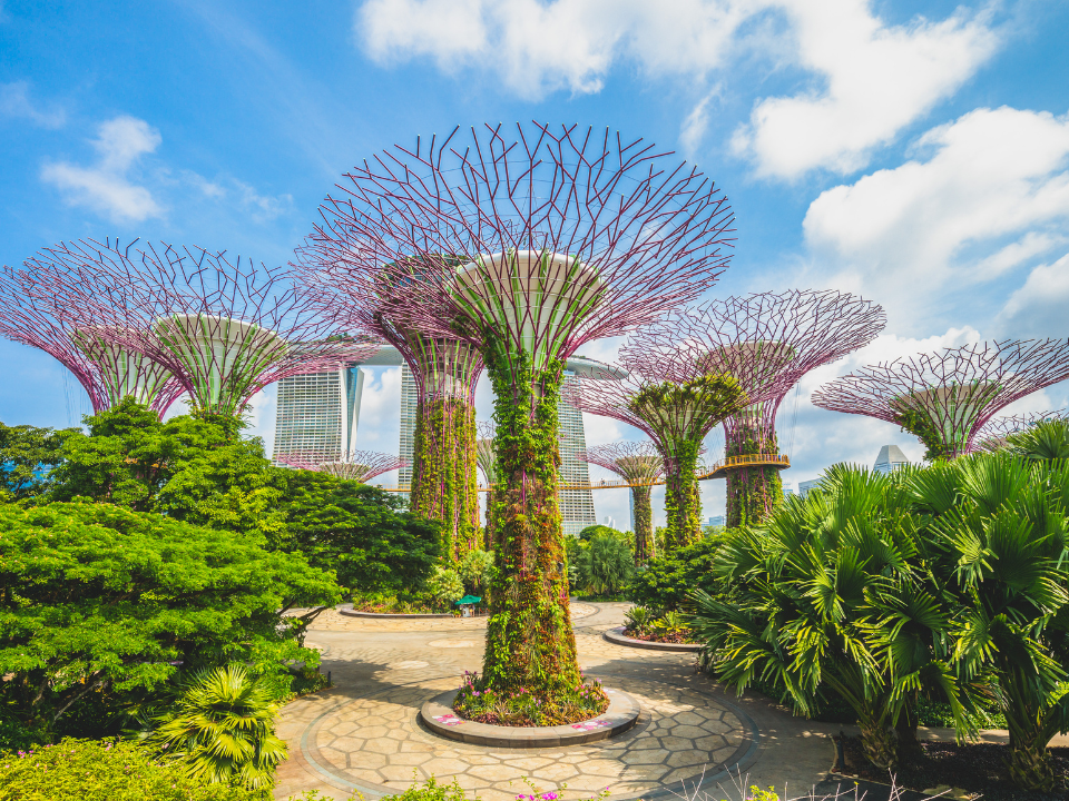 gardens by the bay Singapur