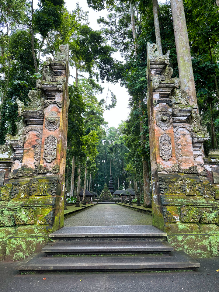 Sangeh Monkey Forest Bali