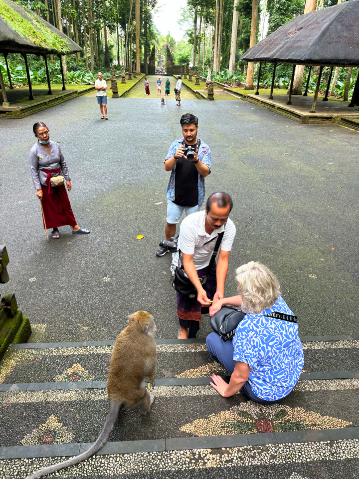 Sangeh Monkey Forest Bali