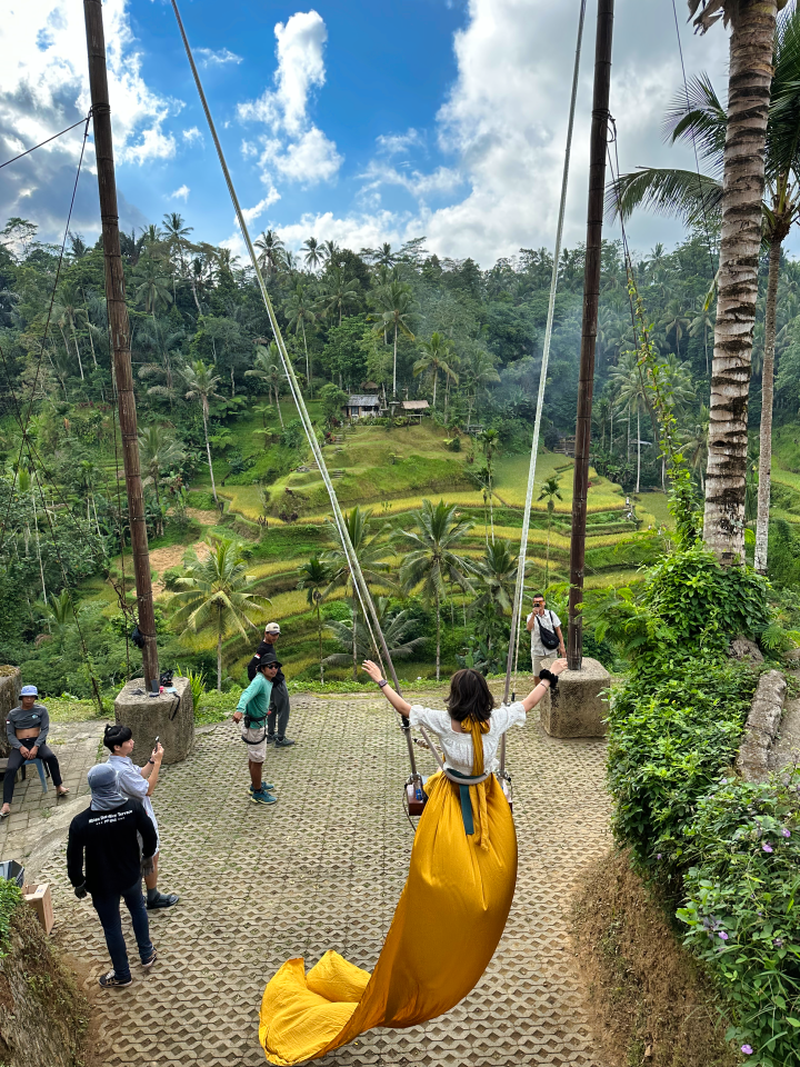 Rýžová pole Tegalalang Bali