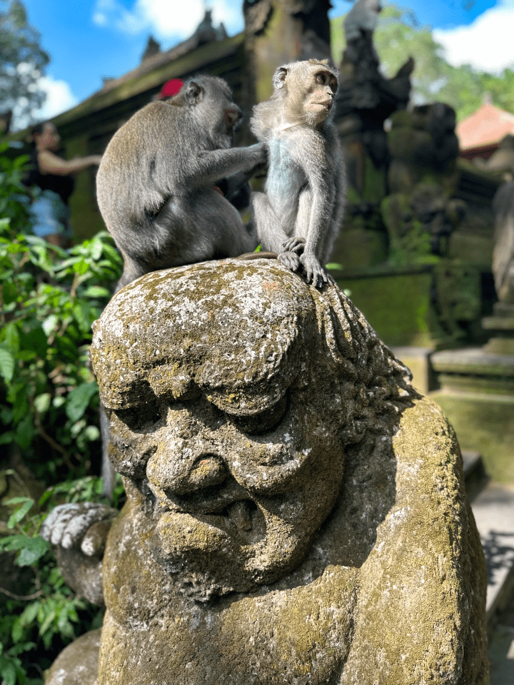 Monkey forest Ubud Bali