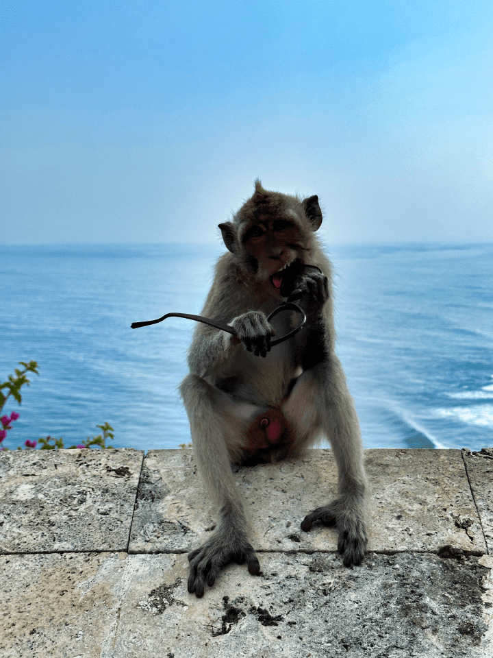 Uluwatu chrám bali